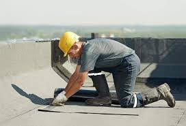 Best Skylight Installation and Repair  in Angustura, NM